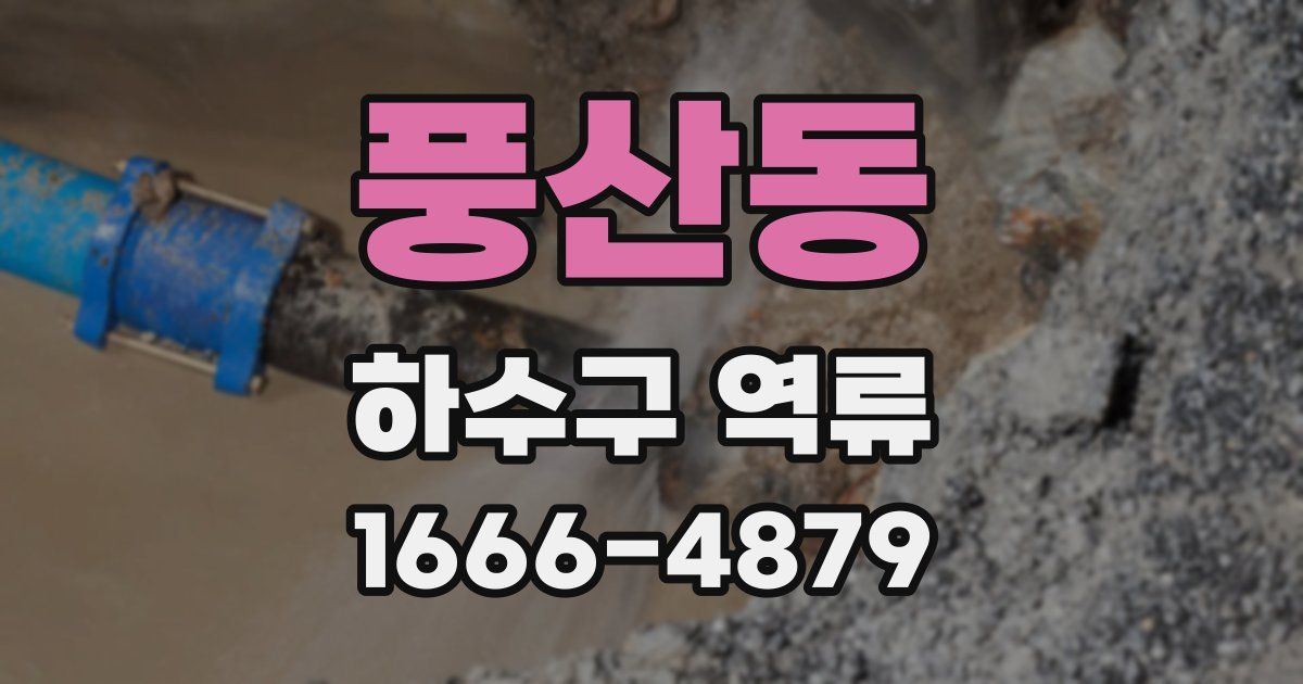 풍산동 하수구 역류