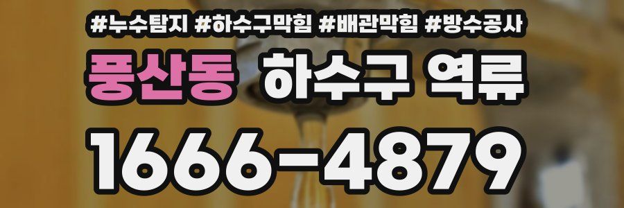 풍산동 하수구 역류