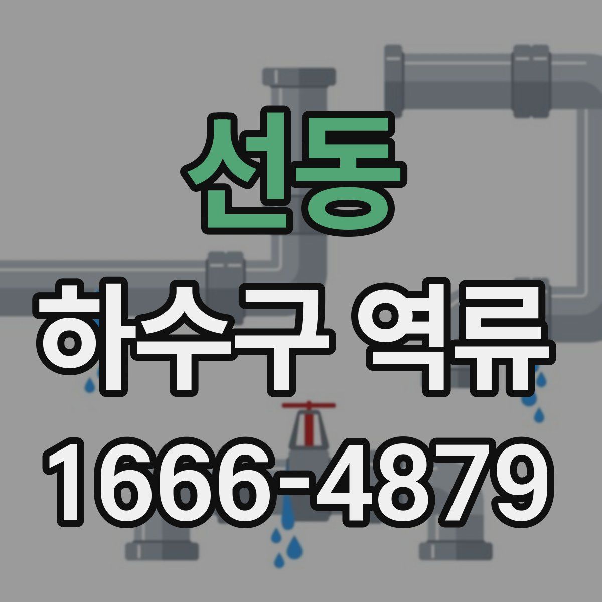 선동 하수구 역류