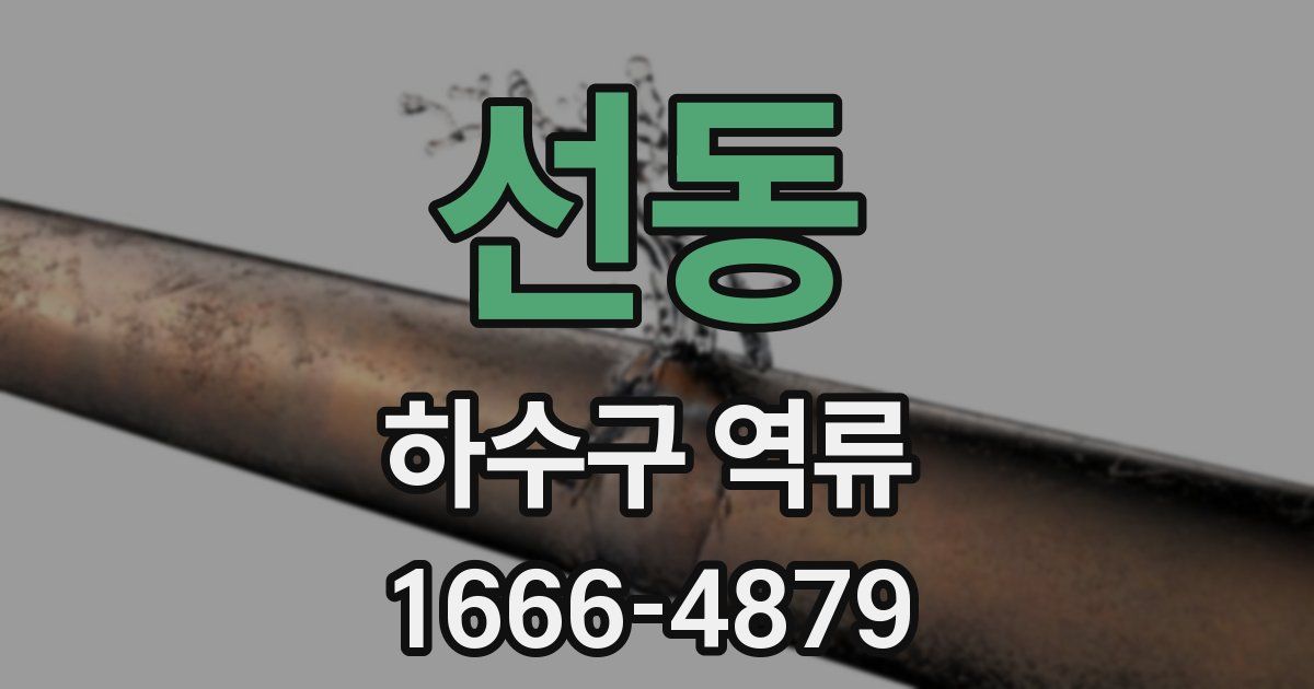 선동 하수구 역류