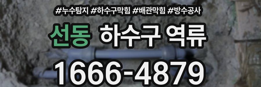 선동 하수구 역류