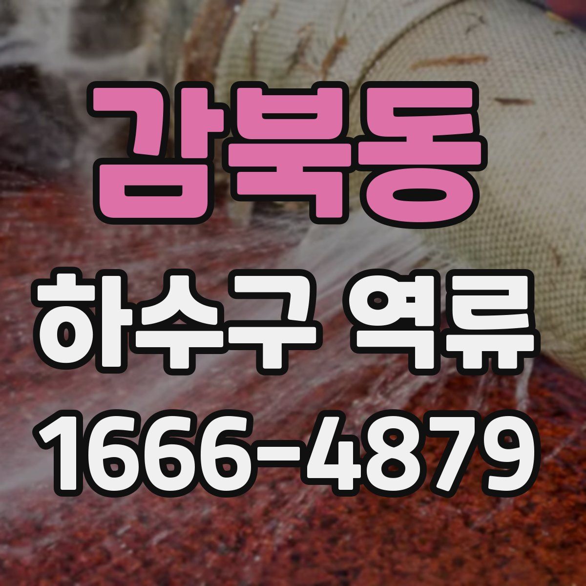 감북동 하수구 역류
