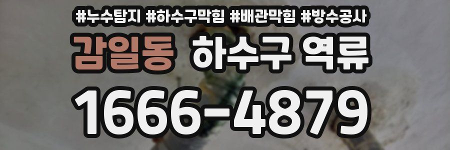 감일동 하수구 역류