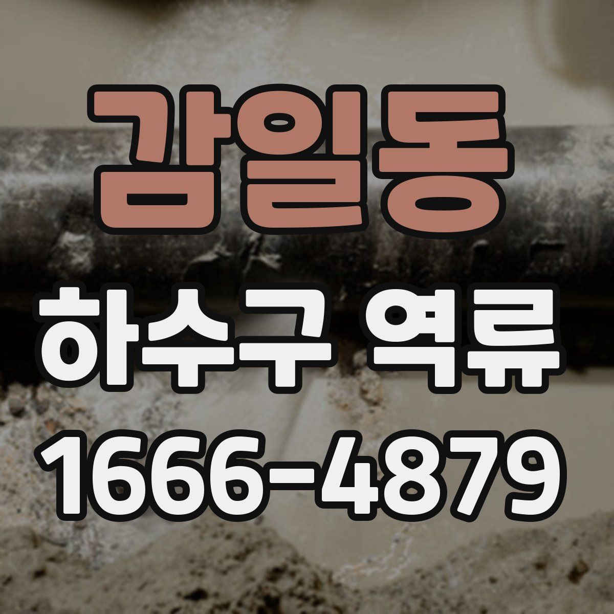 감일동 하수구 역류
