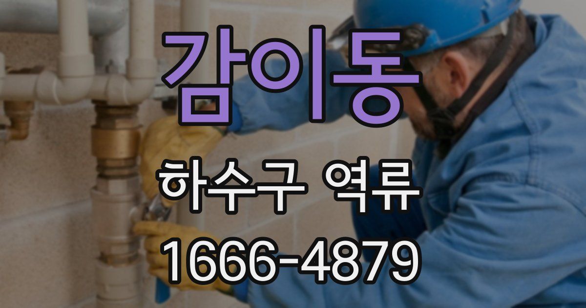 감이동 하수구 역류