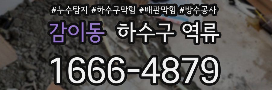감이동 하수구 역류