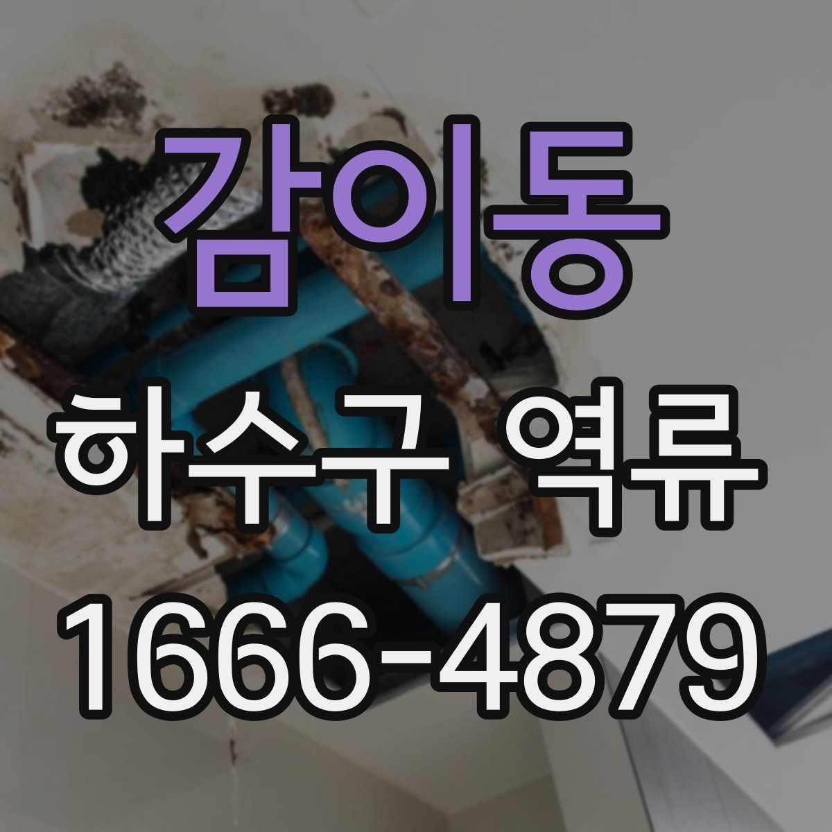 감이동 하수구 역류