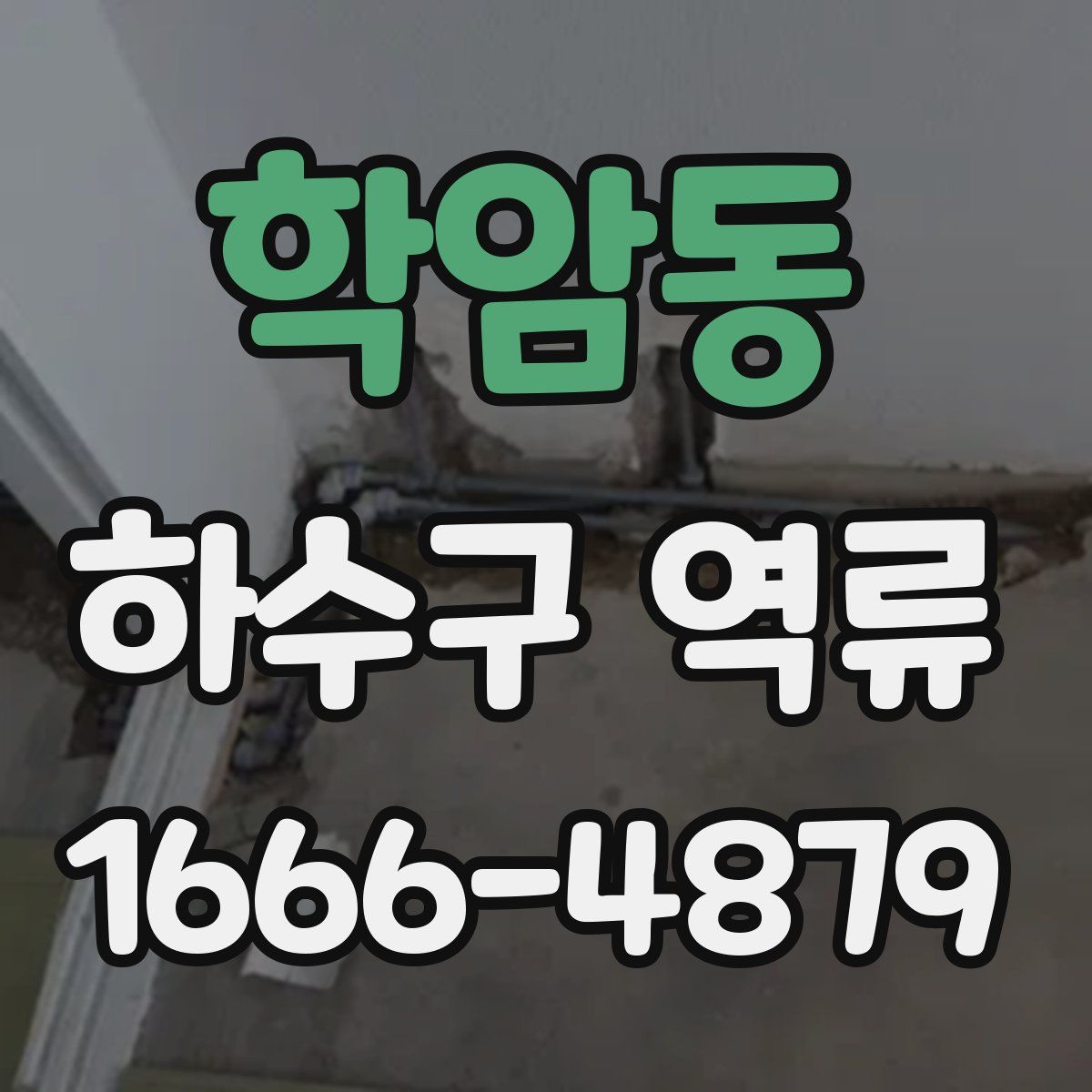 학암동 하수구 역류