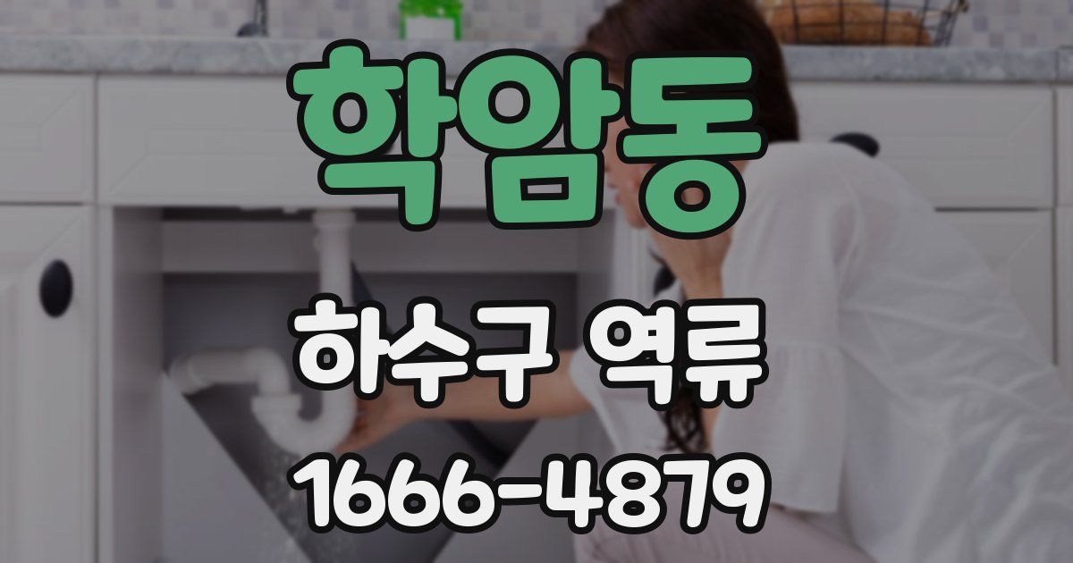 학암동 하수구 역류