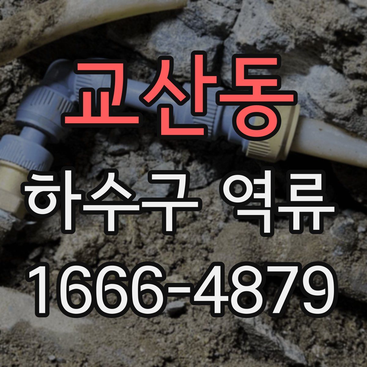 교산동 하수구 역류