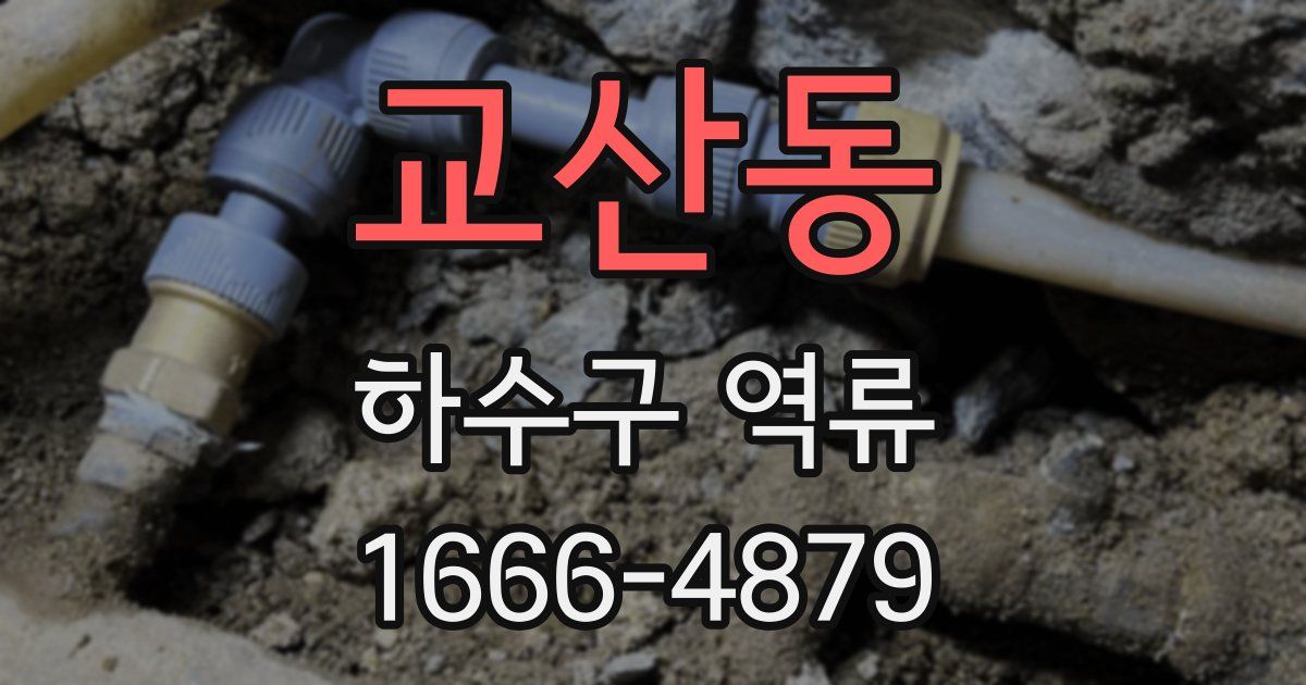 교산동 하수구 역류