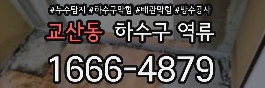 교산동 하수구 역류