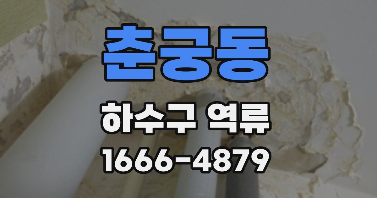 춘궁동 하수구 역류