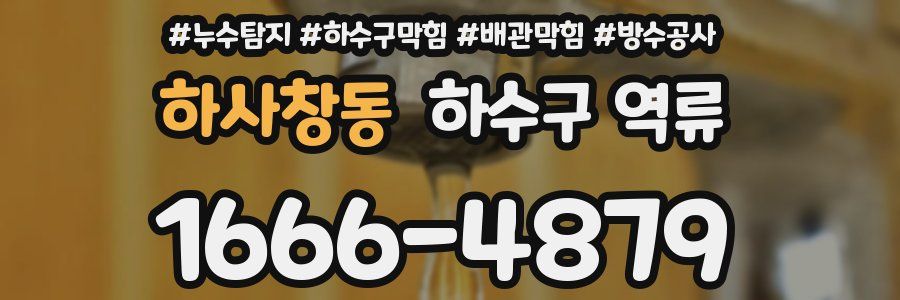 하사창동 하수구 역류