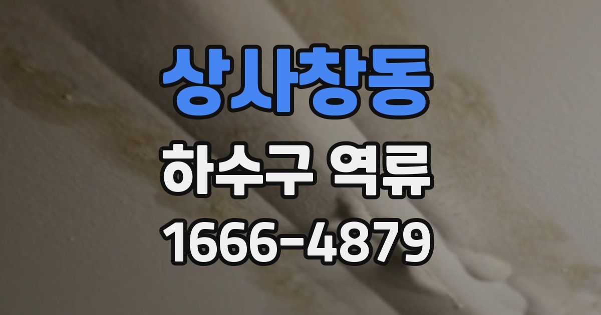 상사창동 하수구 역류