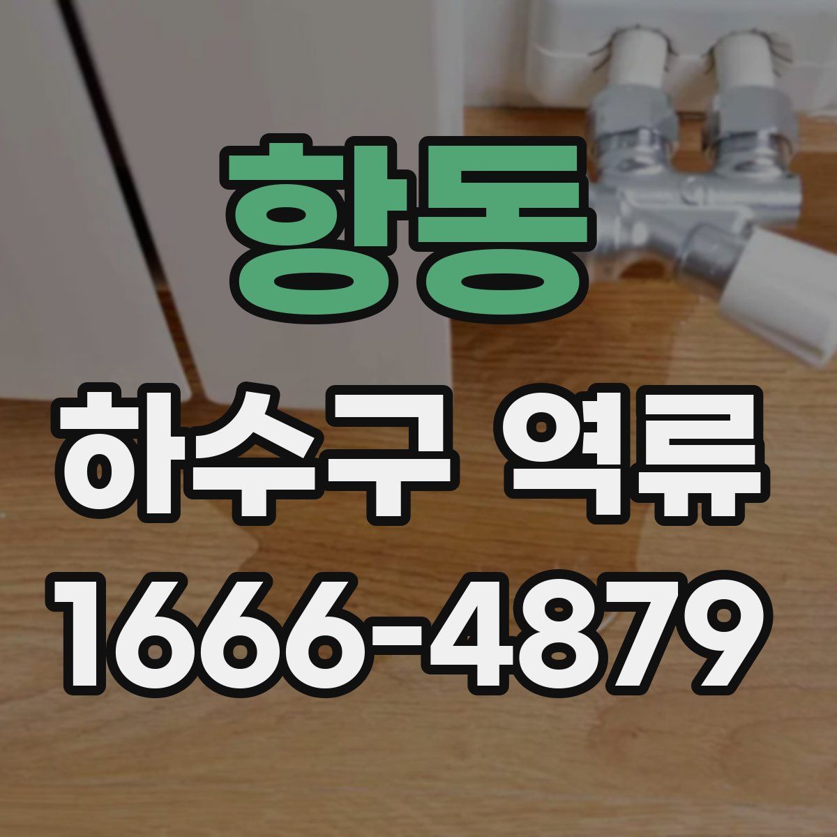 항동 하수구 역류
