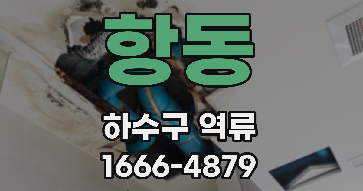 항동 하수구 역류