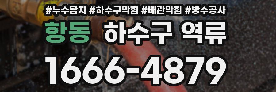 항동 하수구 역류
