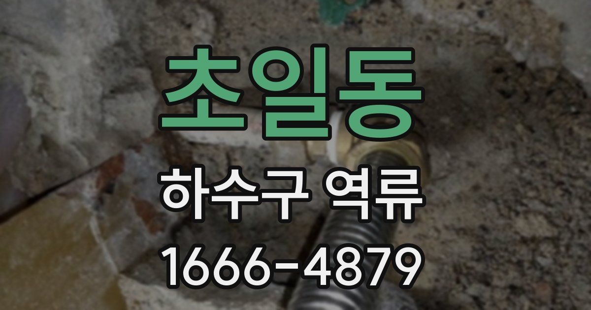 초일동 하수구 역류