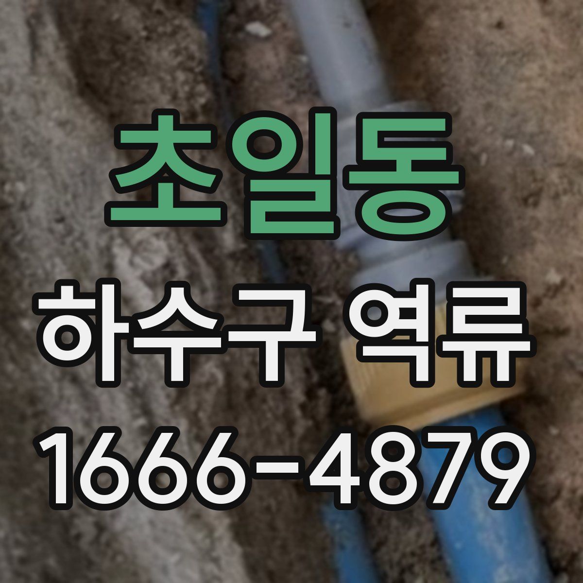 초일동 하수구 역류
