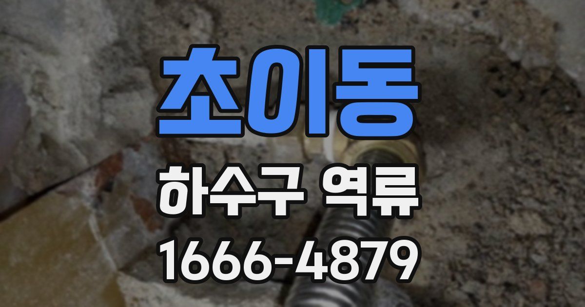 초이동 하수구 역류