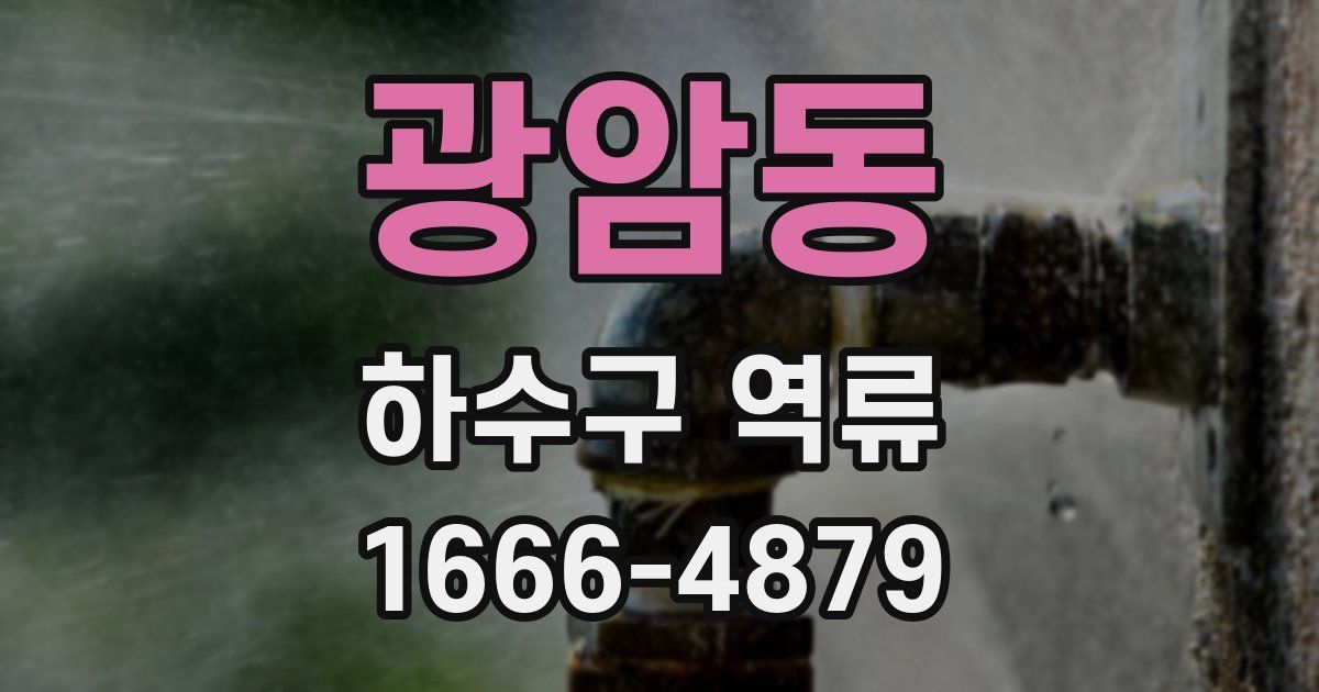 광암동 하수구 역류