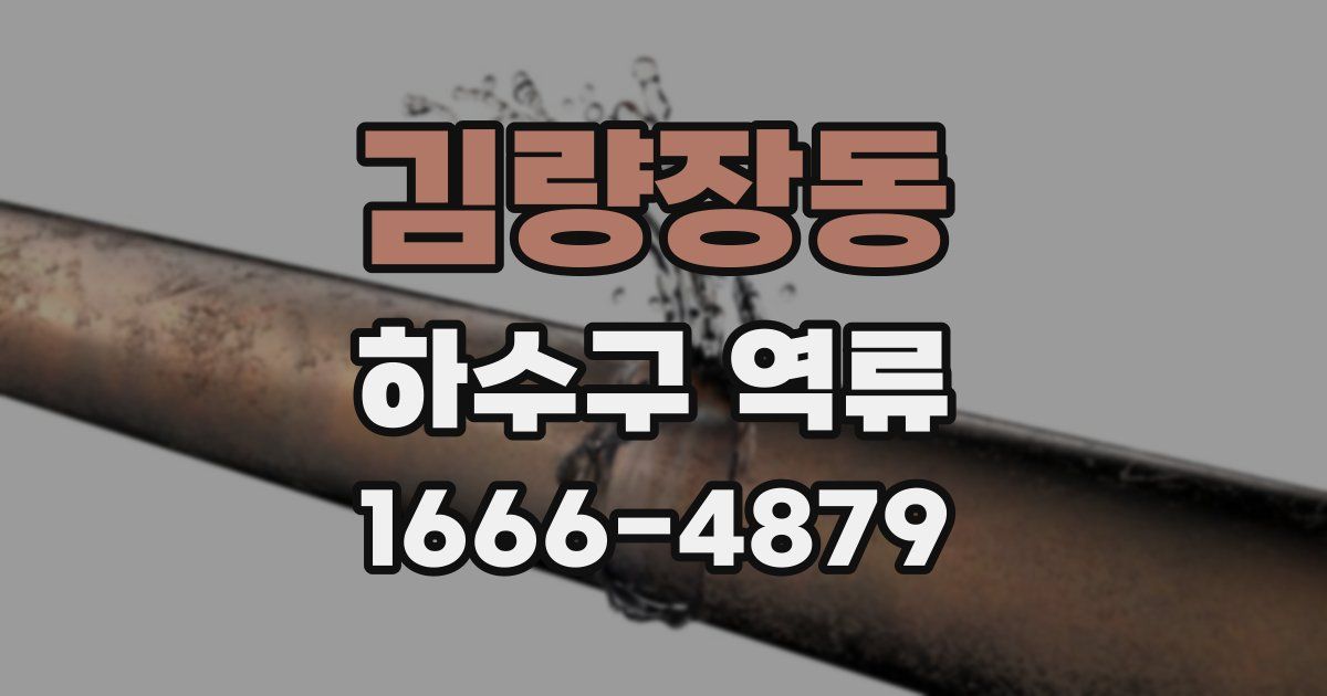 김량장동 하수구 역류