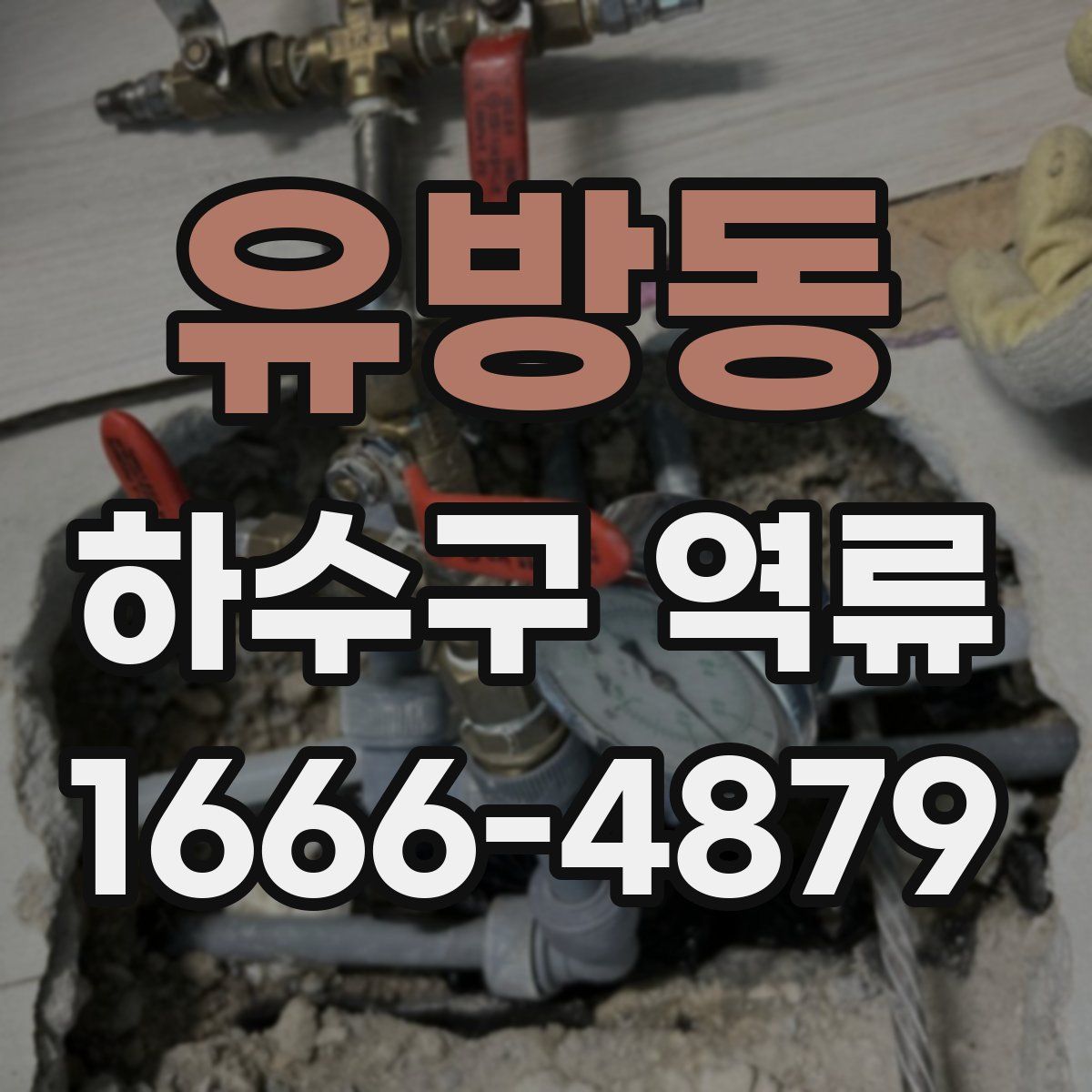 유방동 하수구 역류