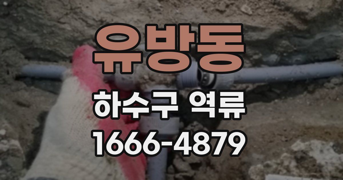 유방동 하수구 역류