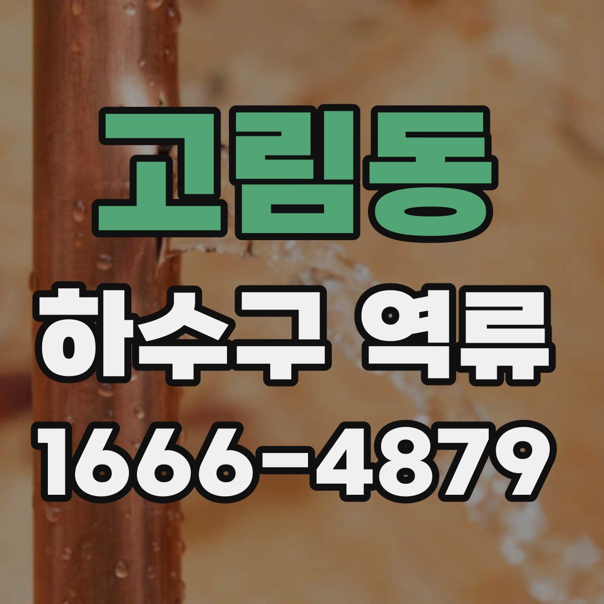 고림동 하수구 역류