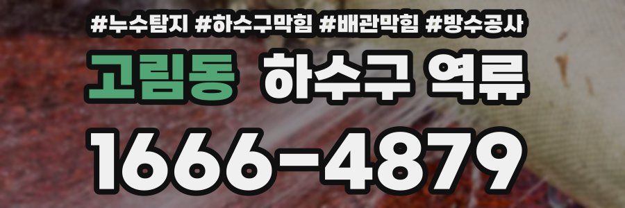 고림동 하수구 역류