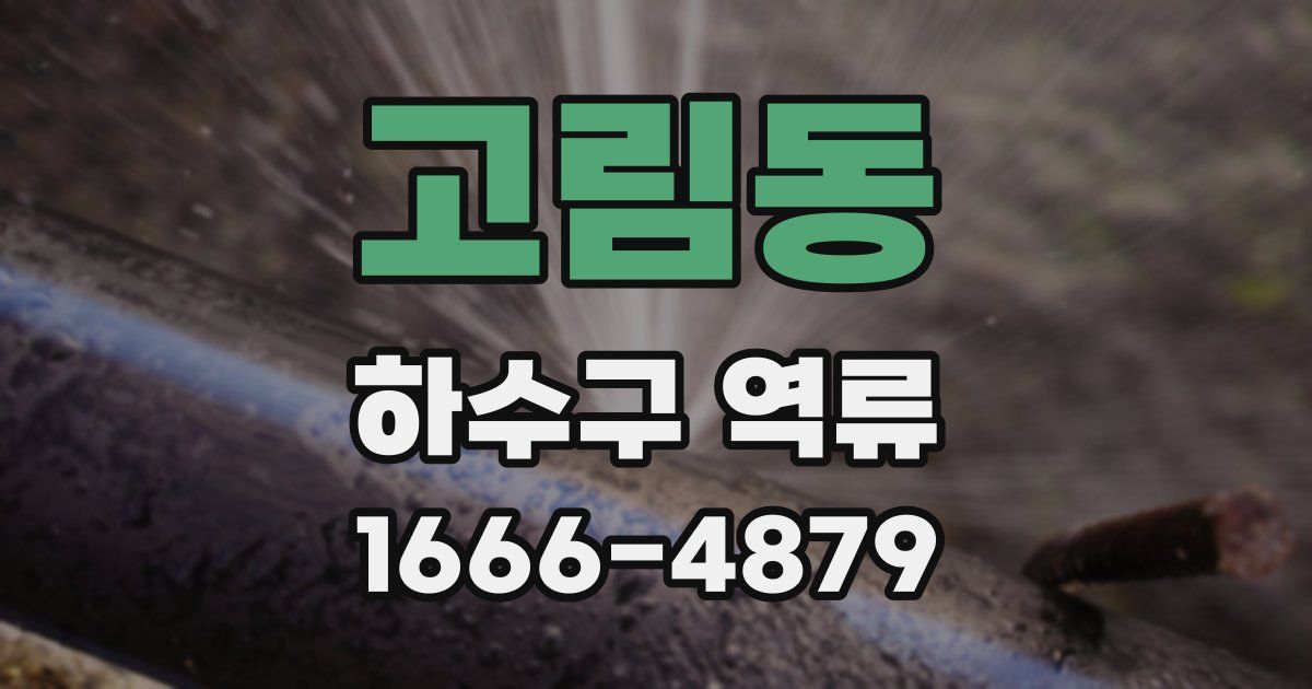 고림동 하수구 역류
