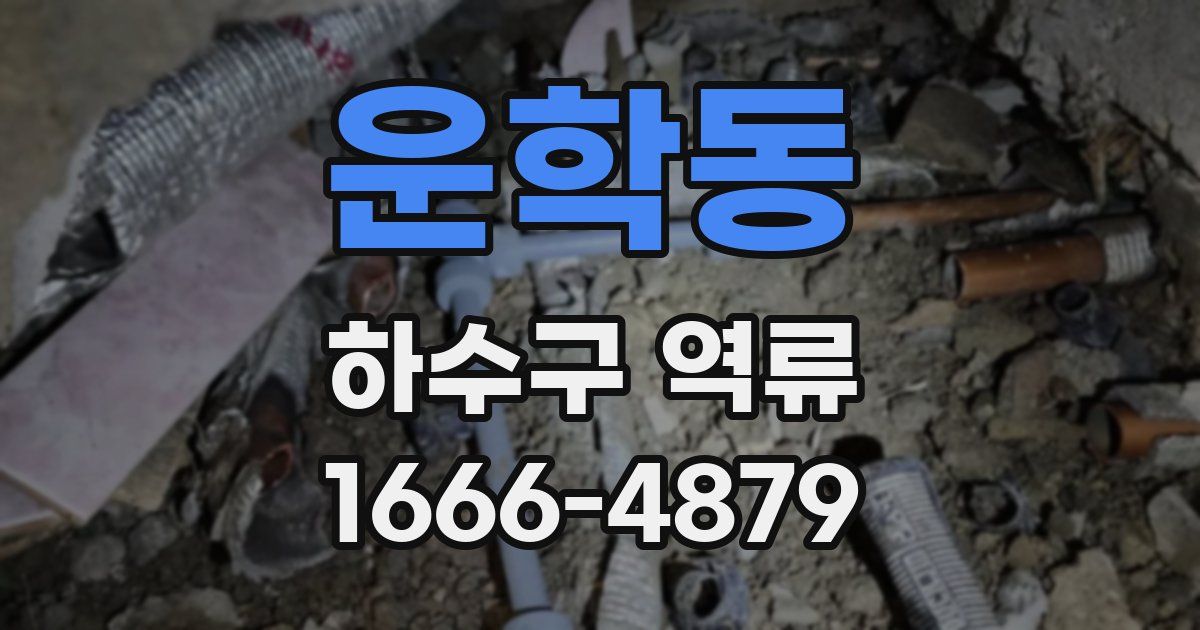 운학동 하수구 역류