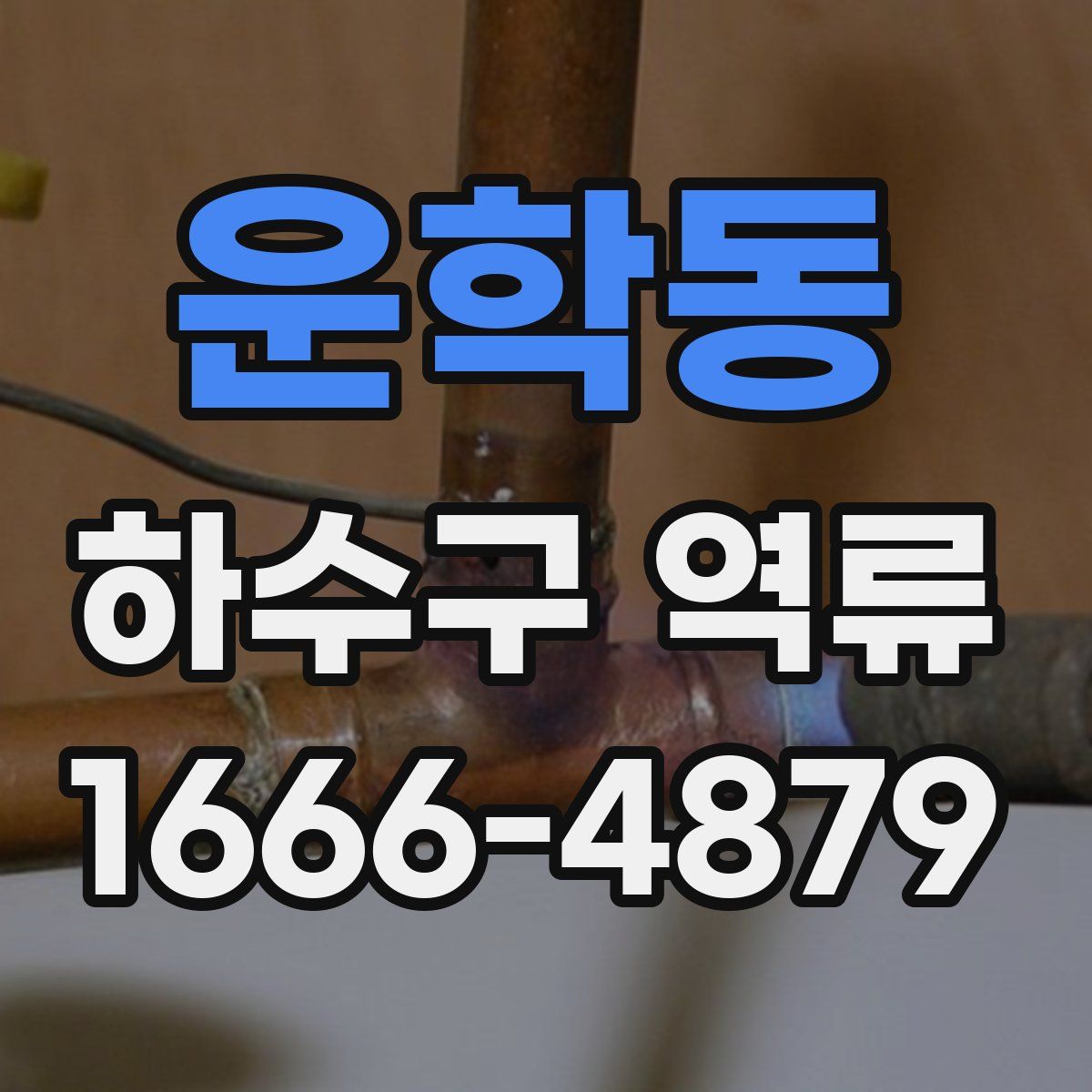 운학동 하수구 역류