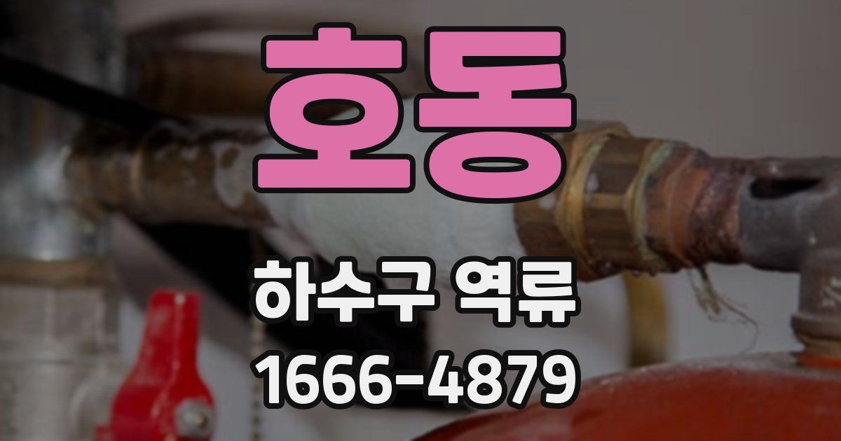 호동 하수구 역류