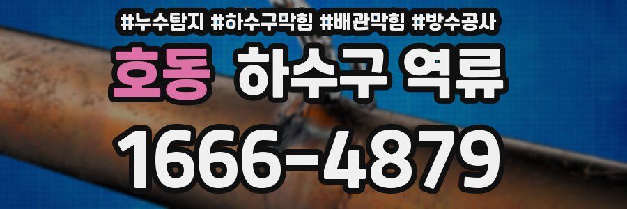 호동 하수구 역류
