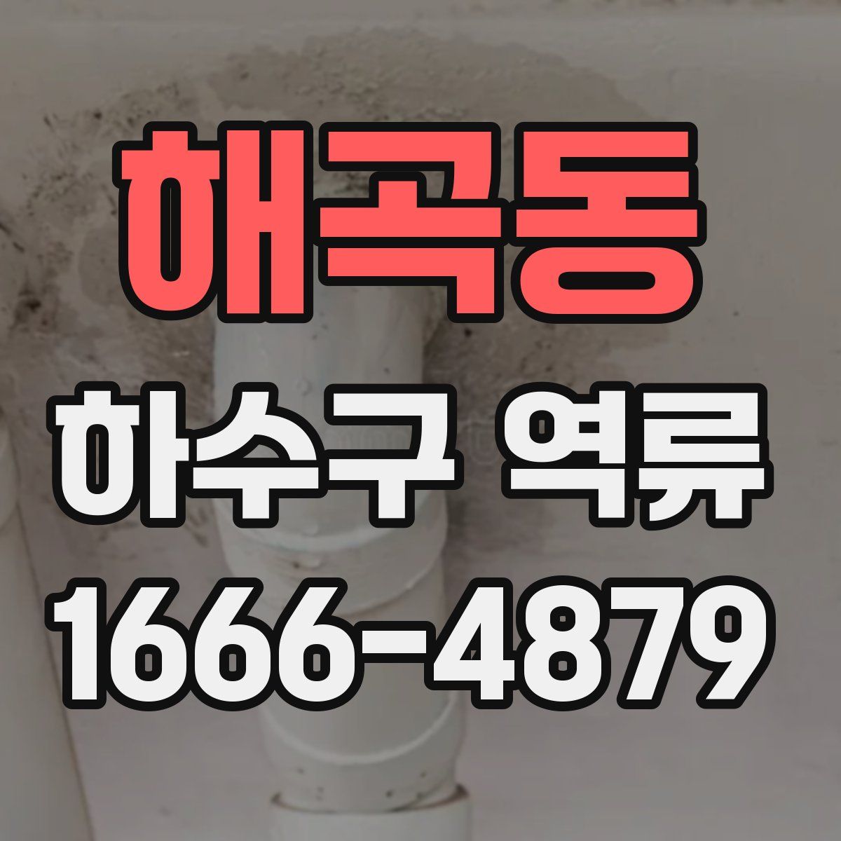 해곡동 하수구 역류