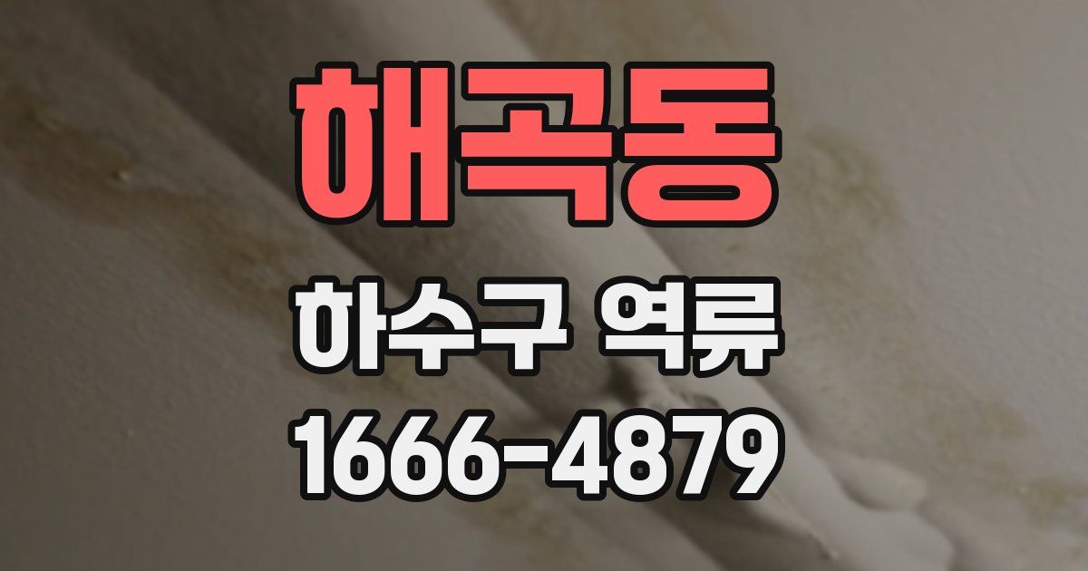 해곡동 하수구 역류