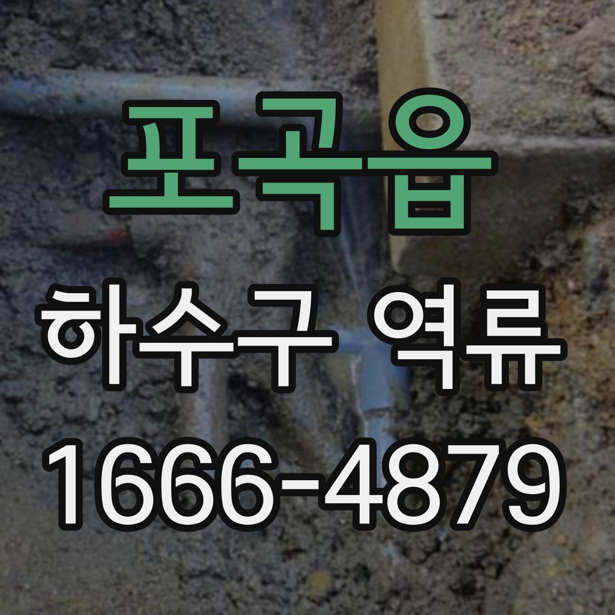 포곡읍 하수구 역류