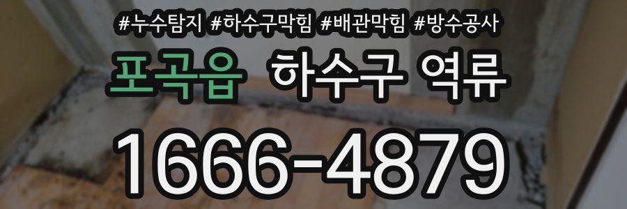 포곡읍 하수구 역류