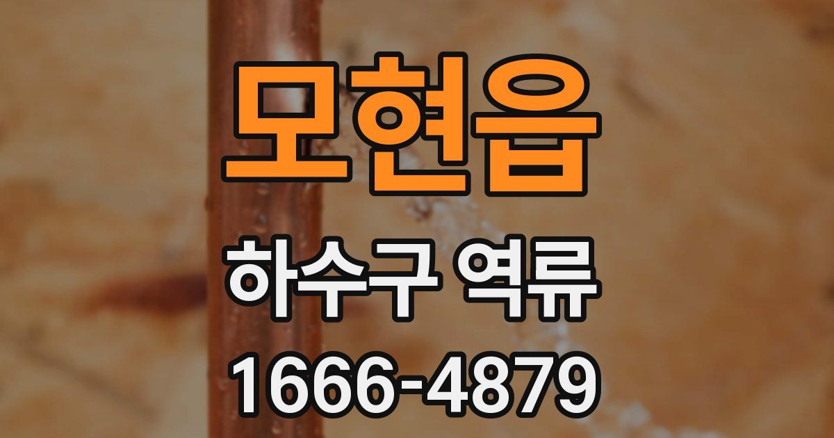 모현읍 하수구 역류