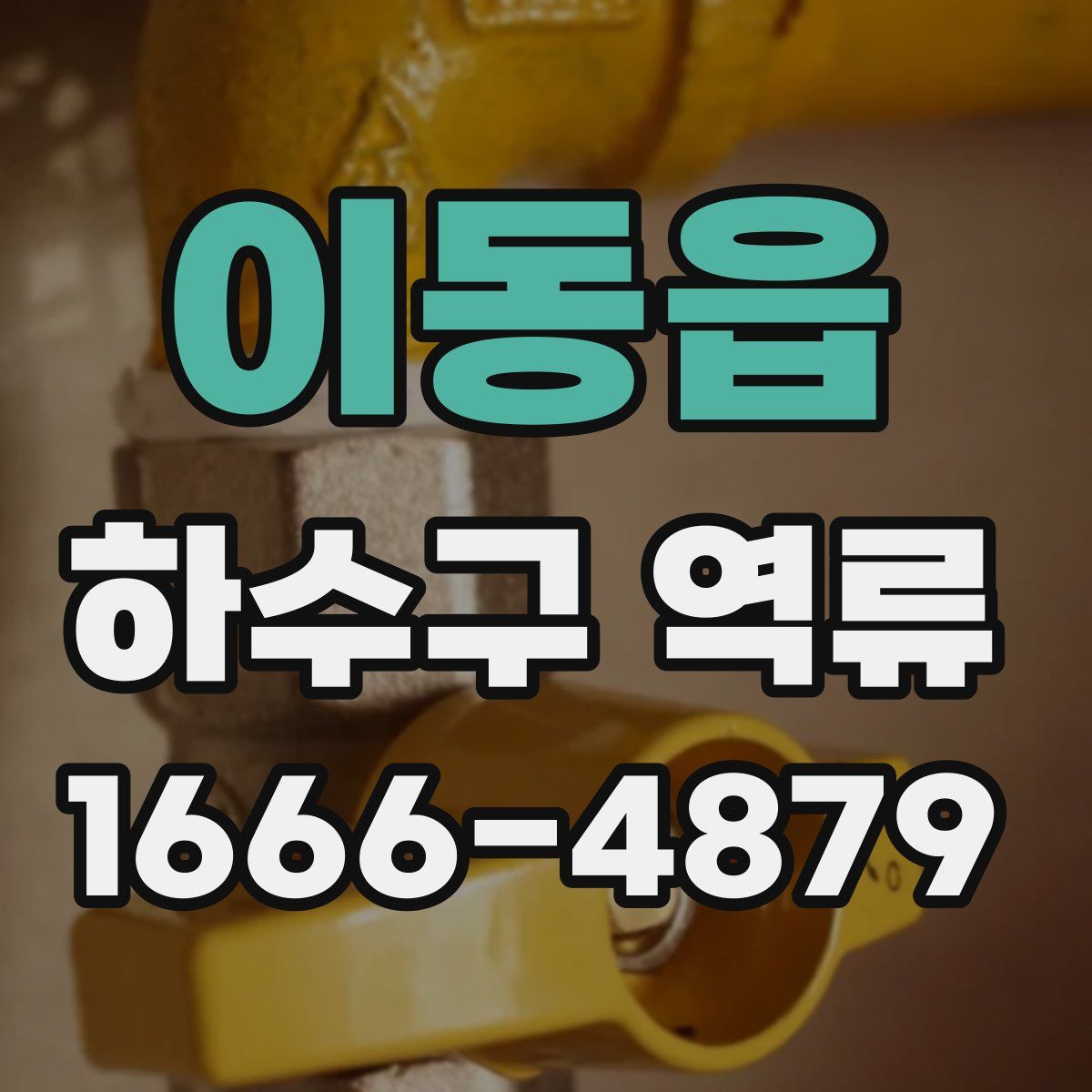 이동읍 하수구 역류
