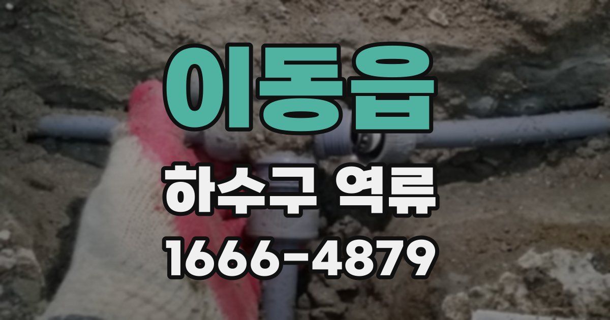이동읍 하수구 역류
