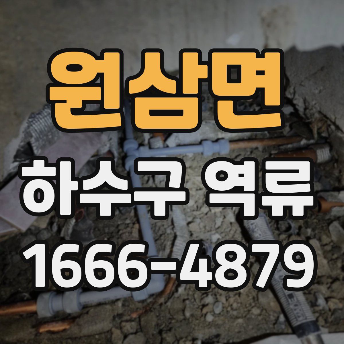 원삼면 하수구 역류
