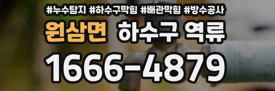 원삼면 하수구 역류