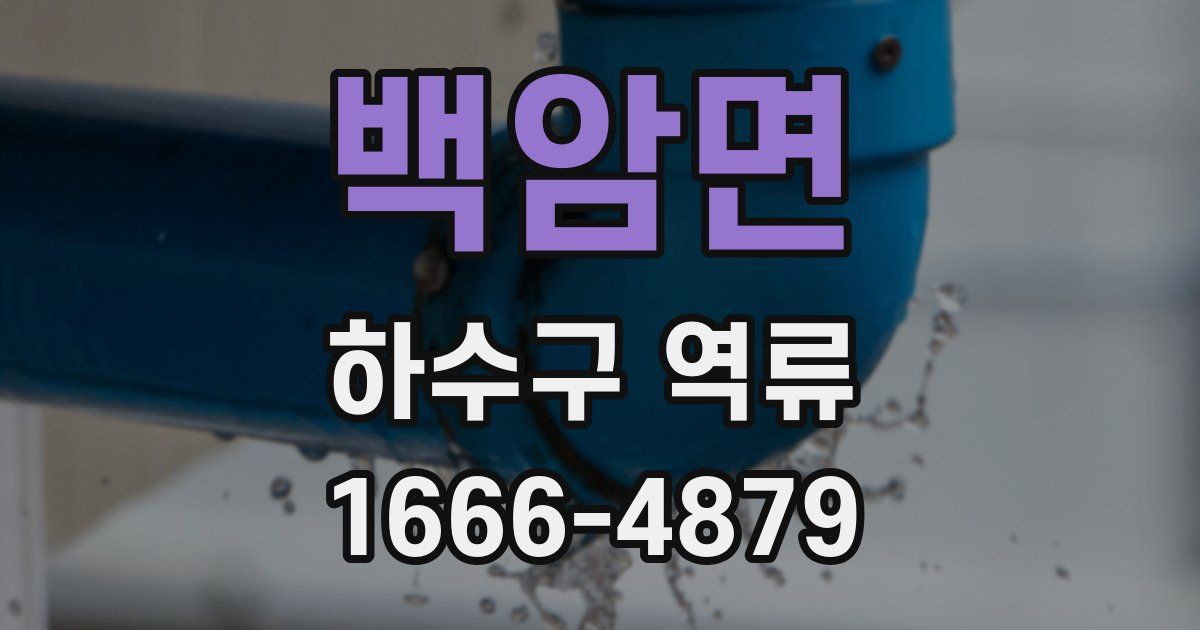 백암면 하수구 역류