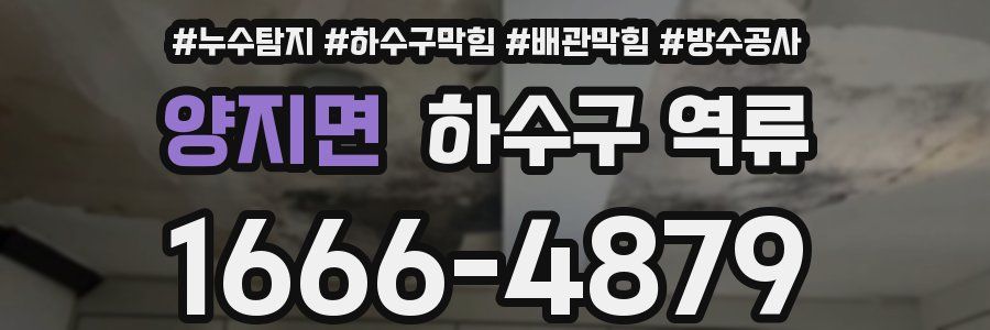 양지면 하수구 역류