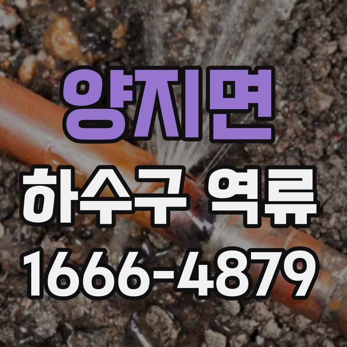 양지면 하수구 역류