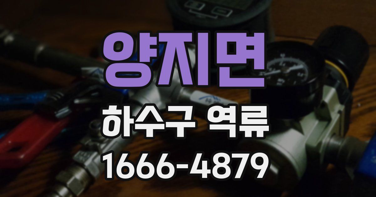양지면 하수구 역류