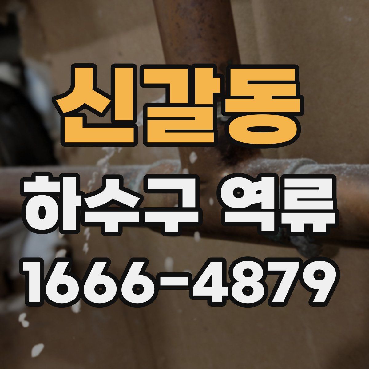 신갈동 하수구 역류